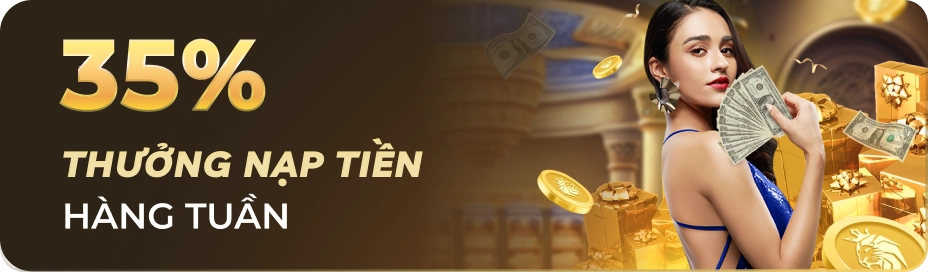 Trang Chủ 242 Promotion 2