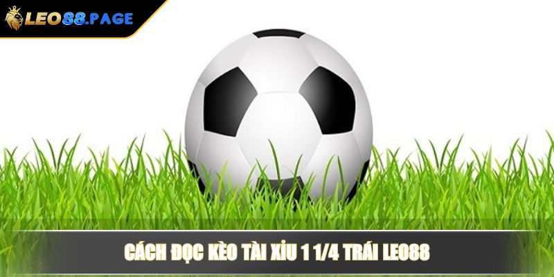 Kèo tài xỉu là gì? Cách đọc kèo tài xỉu bóng đá LEO88 chuẩn 3 Cách đọc kèo tài xỉu 1 1/4 trái LEO88